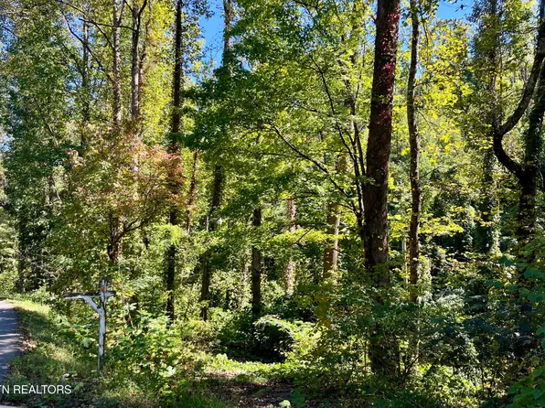 Lots 36 37 Cool Creek Rd, Sevierville, TN 37862