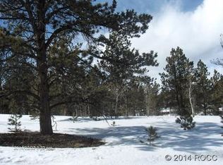 1009 Aspen Trl, Hartsel, CO 80449