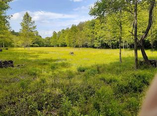 427 Piney Rd, Mineral Bluff, GA 30559