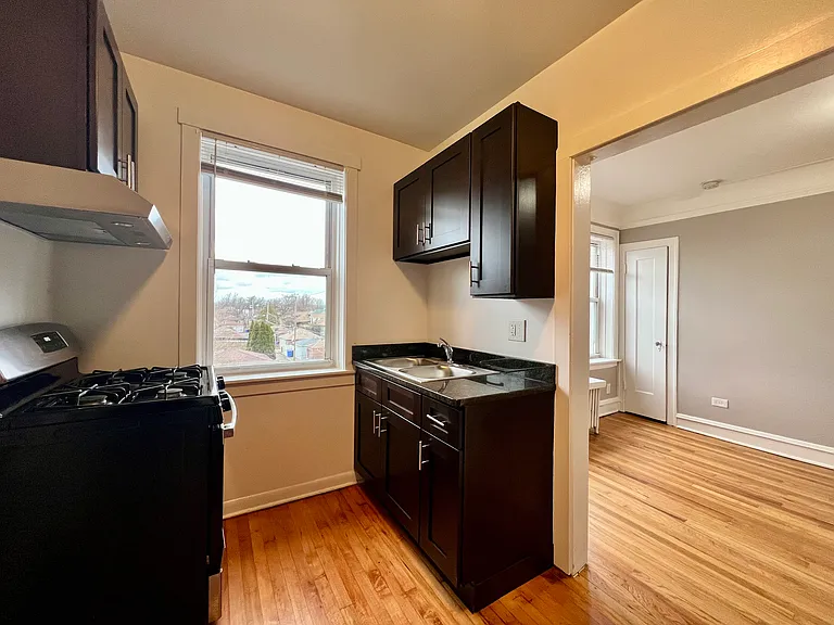 2648 W North Shore Ave #3D — Photo 6