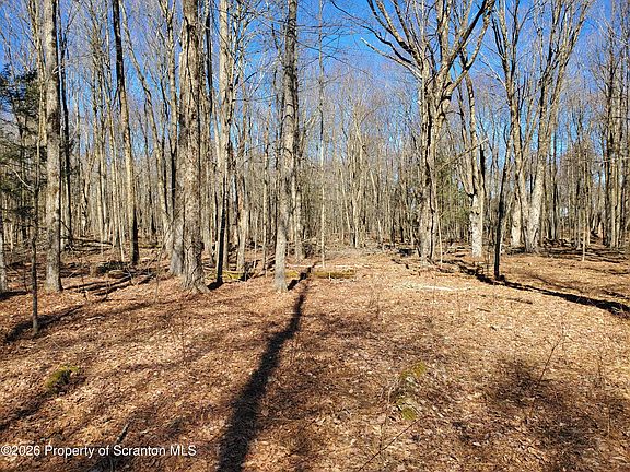 3rd image of 0 Ebbs Corner Rd