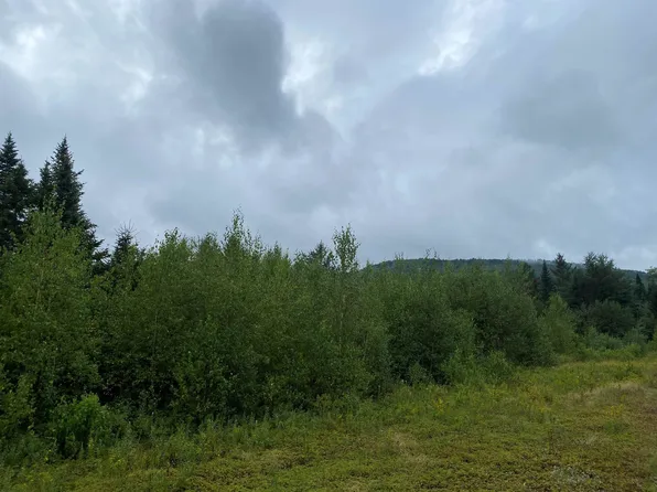00 Spruceville Road Map 131, Lot 14, Milan, NH 03588