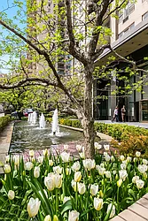 The Stratford at 1385 York Avenue in Lenox Hill