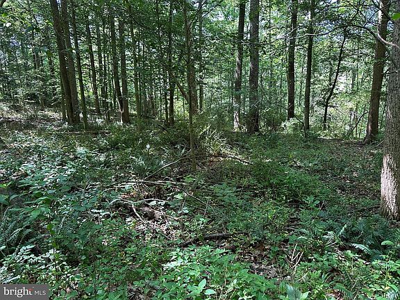 5th image of 14118 Indian Springs Rd