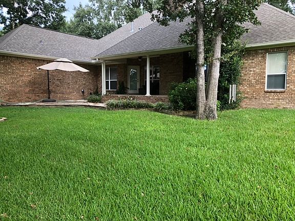 East view of backyard