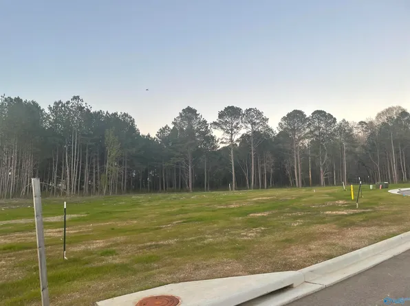 LOT 8 Spring Creek Dr, Guntersville, AL 35976