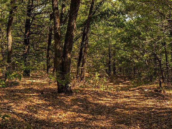 2nd image of Tipps Rd