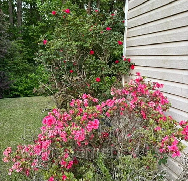239 Jasmine Trl — Photo 29