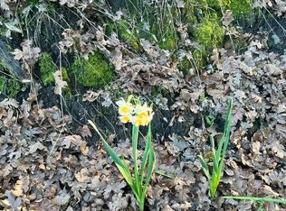 10711 Orr Springs Rd, Ukiah, CA 95482