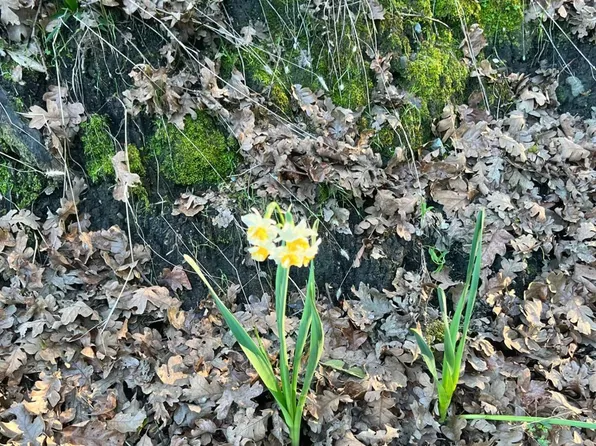 10711 Orr Springs Road, Ukiah, CA 95482