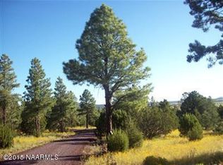 6641 N Mantenga La Fe, Williams, AZ 86046