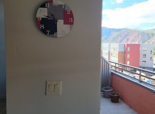 231 Robinson St UNIT 308, Basalt, CO 81621