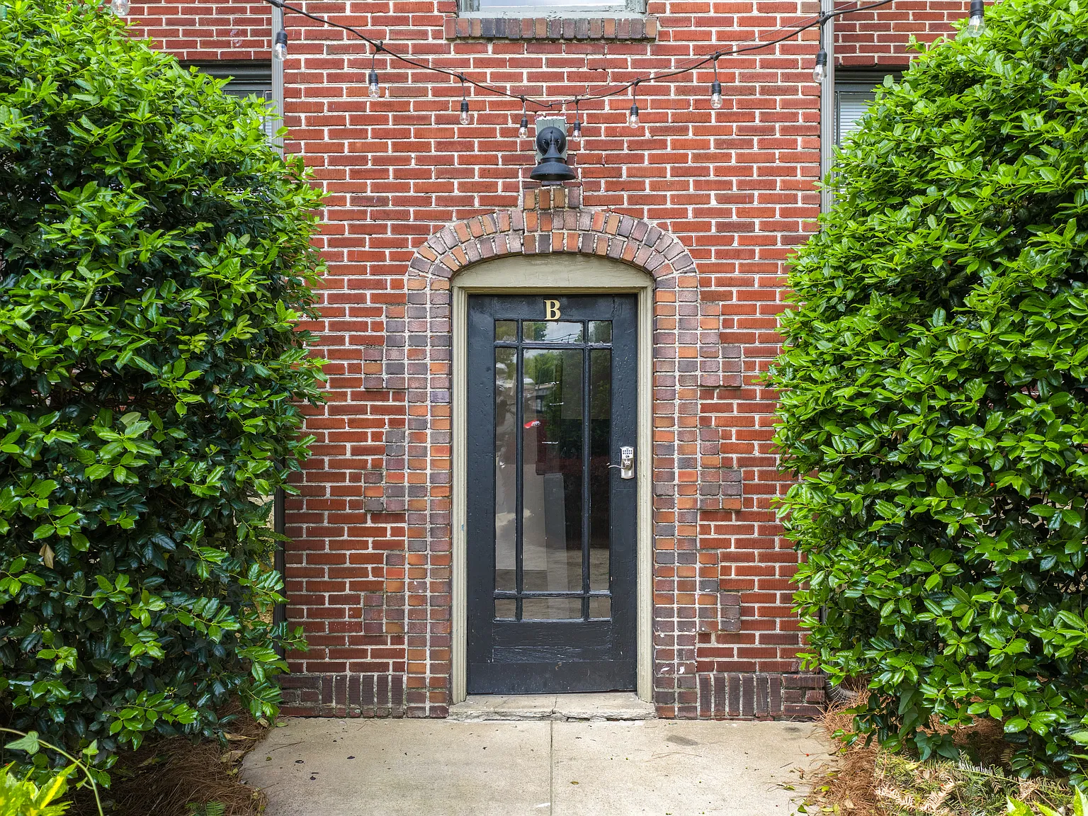 1 bed, 800 sqft, $900 — Photo 2