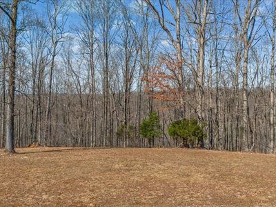 0 Rustic Valley Dr Lot 62, Waverly, TN, 37185