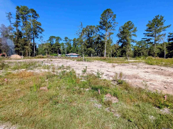 30625 Tamjulon Rd, Albany, LA 70711