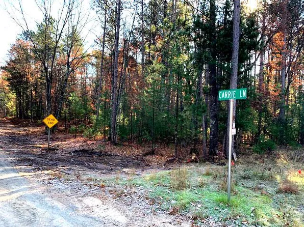 Lt3 CARRIE LANE, Pound, WI 54161