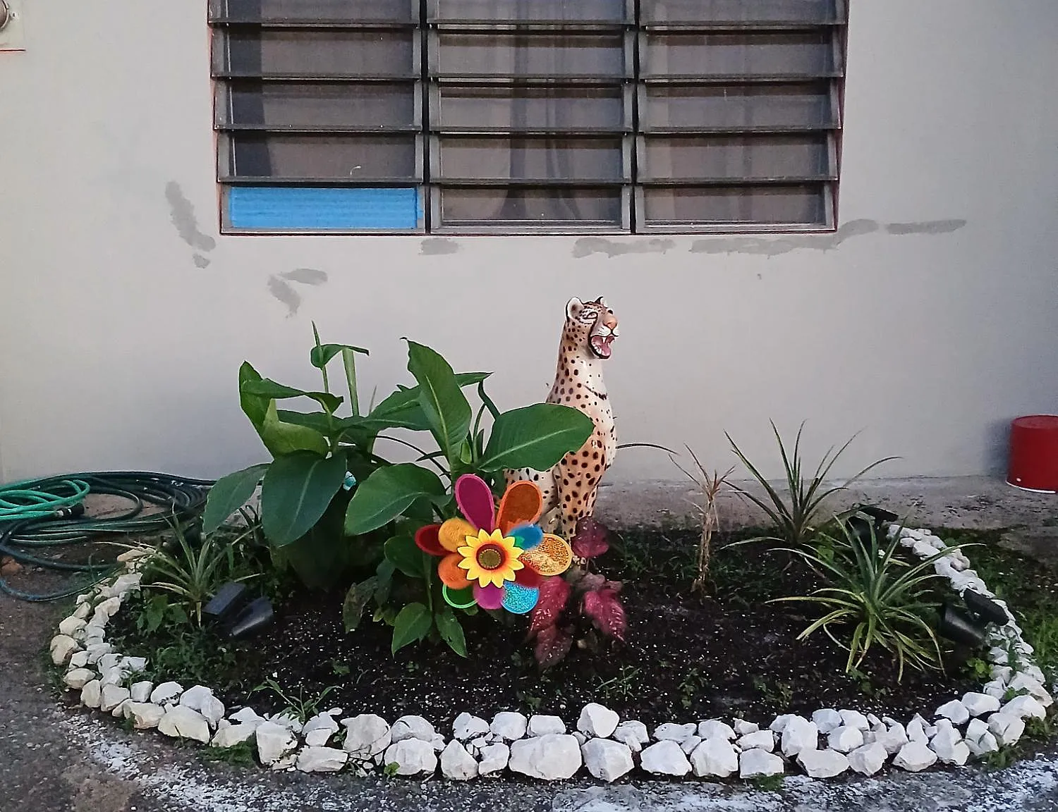 1 bed, 1.0 bath, 1000 sqft, $650 — Photo 3