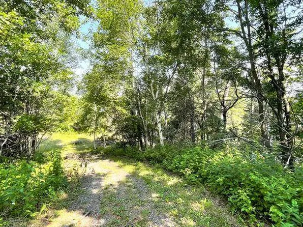 Highway 11 E, International Falls, MN 56649