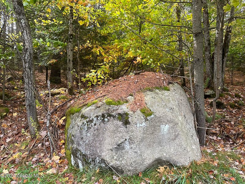 4th image of L28 Olmstedville Road