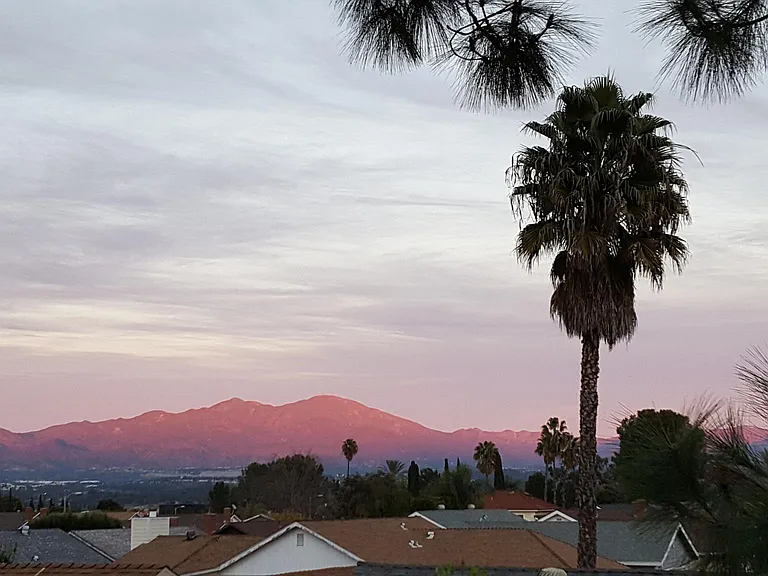 View from the backyard