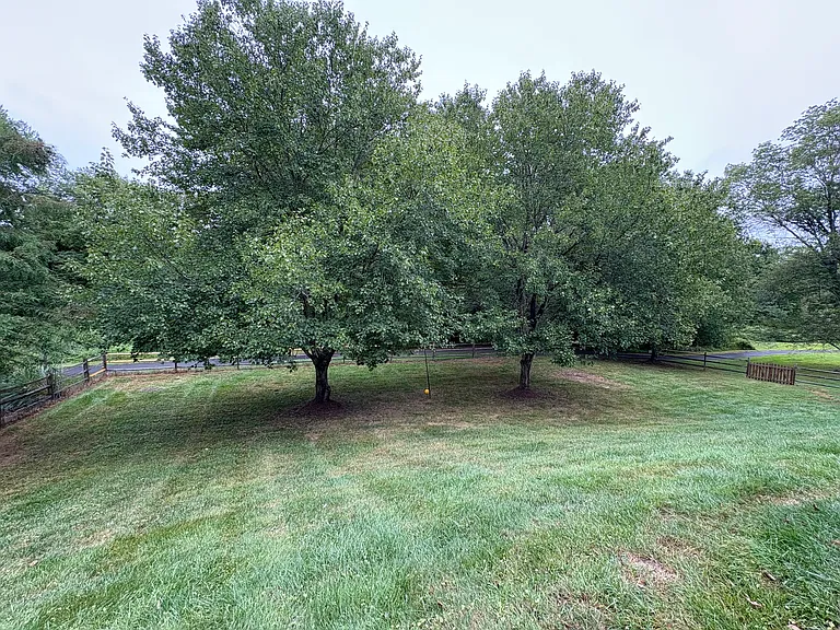 1151 Fieldview Dr — Photo 74
