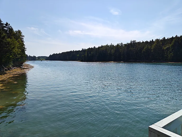 63 Tide Mill Cove Rd — Photo 6