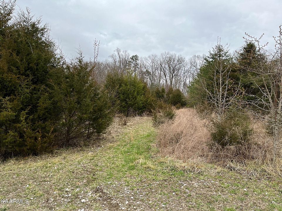 2nd image of Cowan Ln