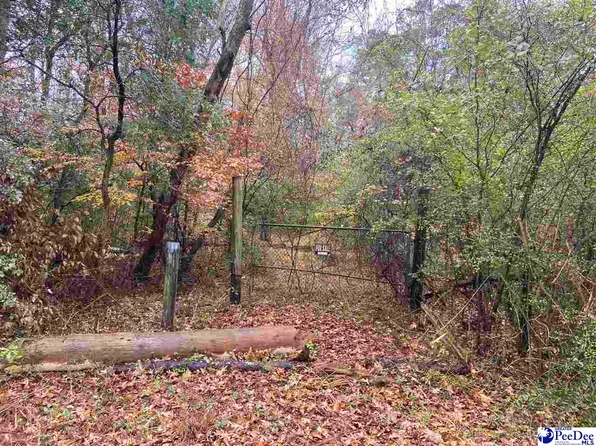 Off Hwy #256, Florence, SC 29501