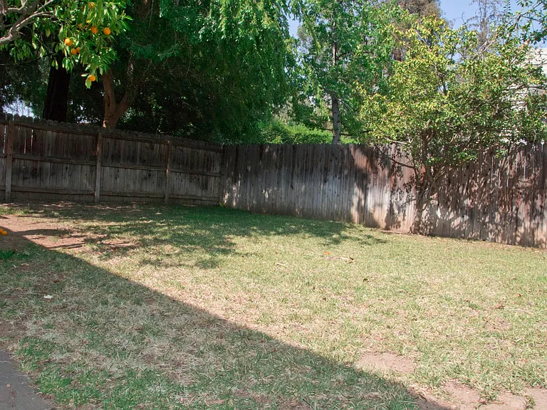1150 E Citrus Ave — Photo 3