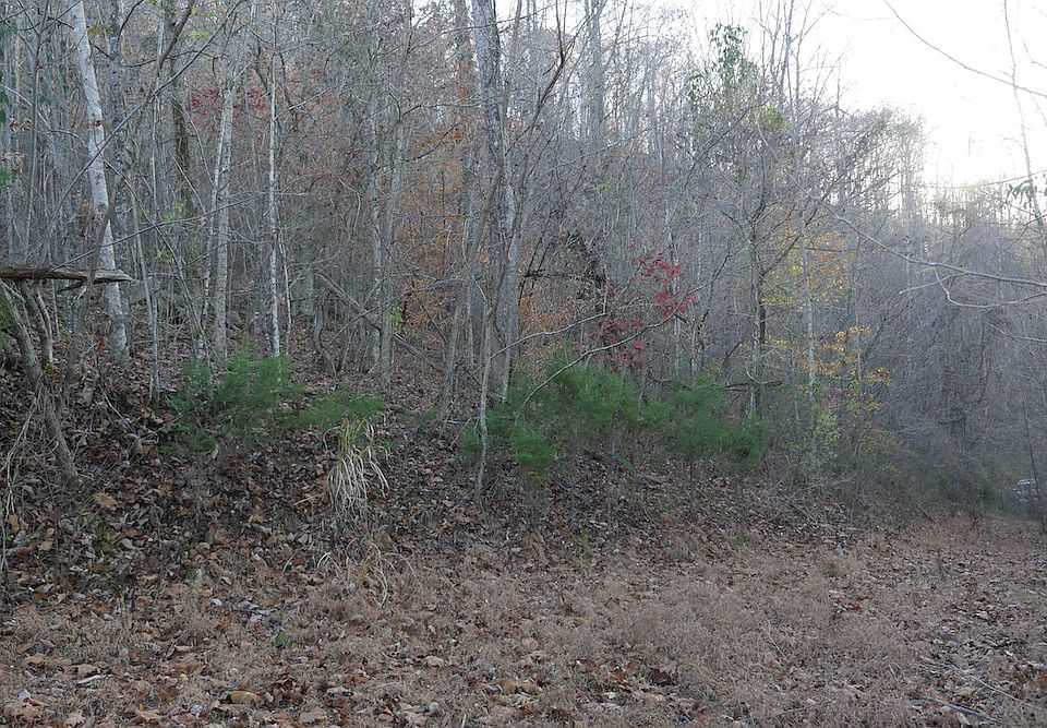 1st image of Bristol Hwy Lot Wp001