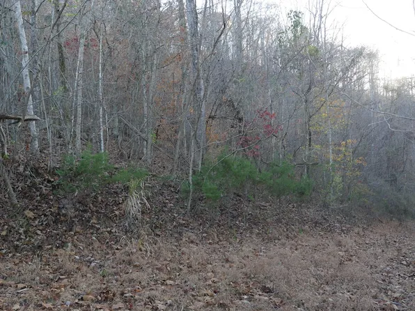 Bristol Hwy Lot Wp001, Bristol, VA 24202