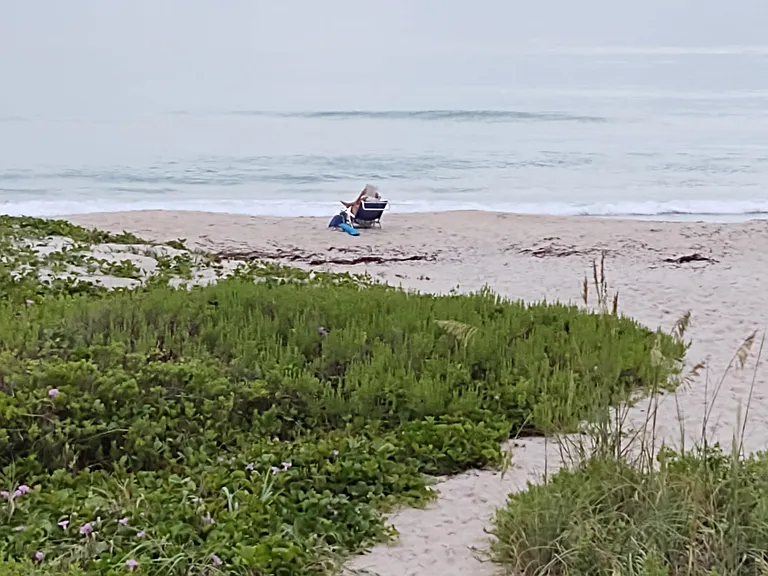5047 N Highway A1A #801 — Photo 32