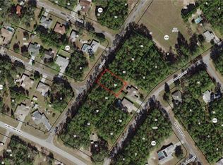 10299 N Adler Dr, Citrus Springs, FL 34434
