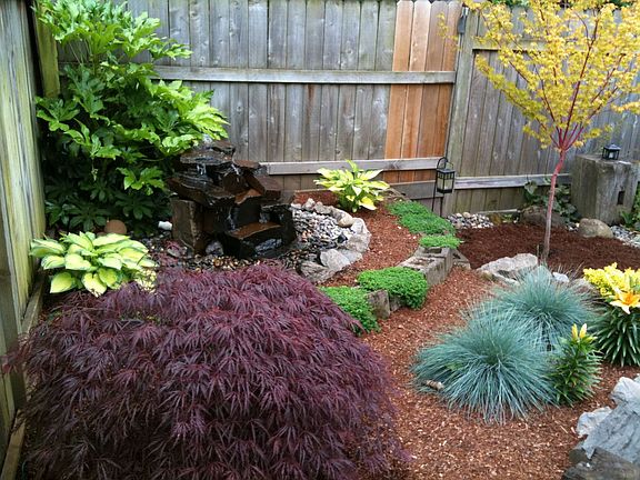 Back Yard Water Feature