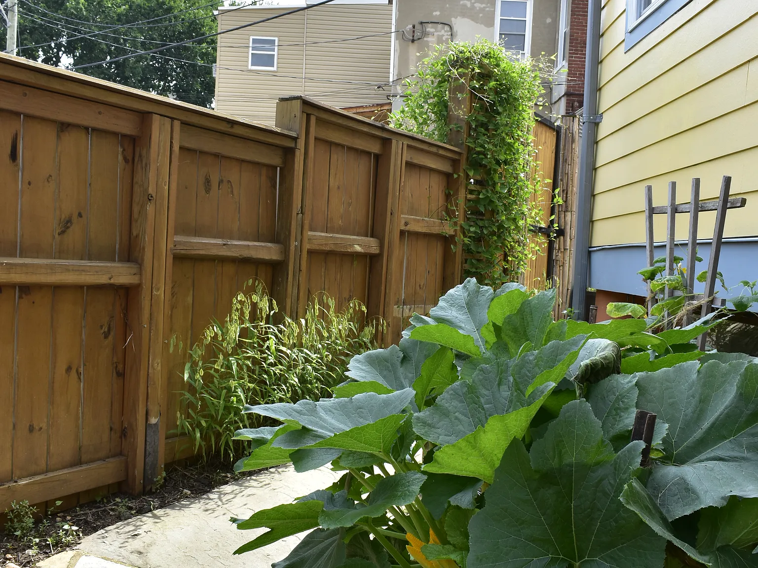 1 bed, 650 sqft, $1,650 — Photo 3