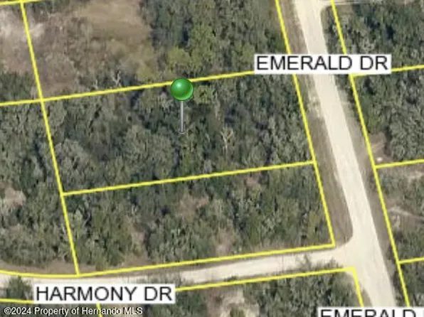 0 Emerald Dr, Dade City, FL 33523