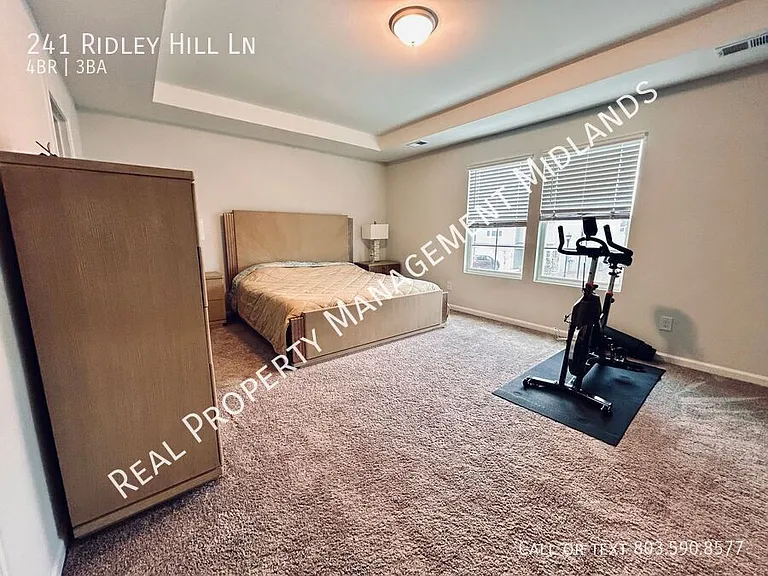 241 Ridley Hill Ln — Photo 12