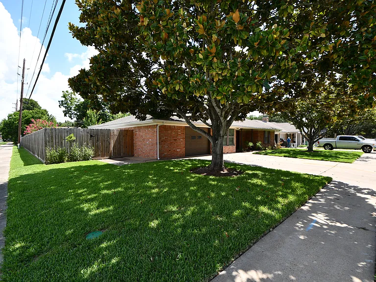 Camellia St — Photo 3