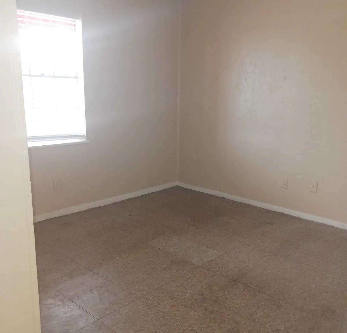 913 Athol Street — Photo 4