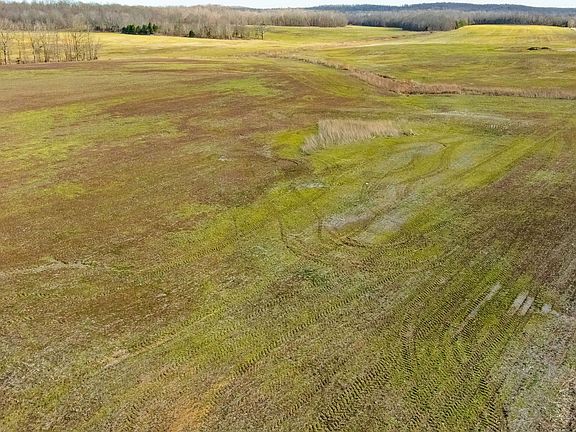 4th image of 10 Daniel Boone Rd