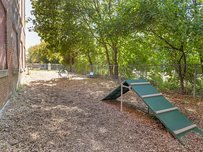 Dog Park