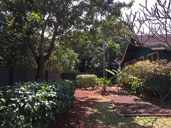 Mature landscaping 