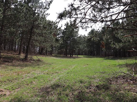 3rd image of 38.98 Acres Ryder Road