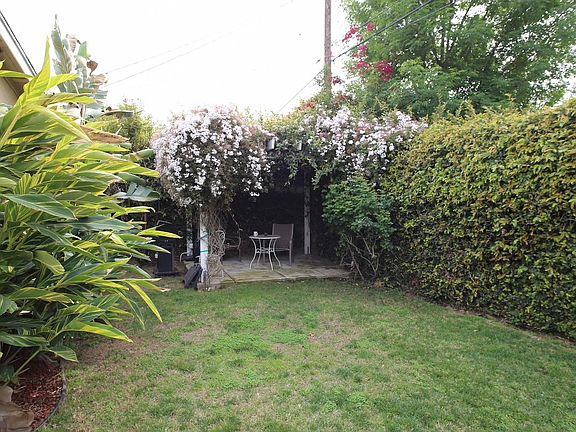 Lush backyard features a pergola, jasmine flowers, and more