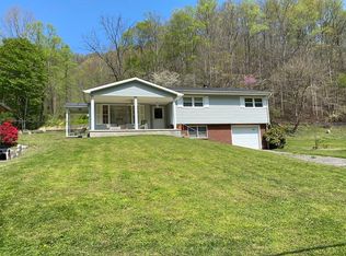 2397 Buffalo Creek Rd, Williamson, WV 25661