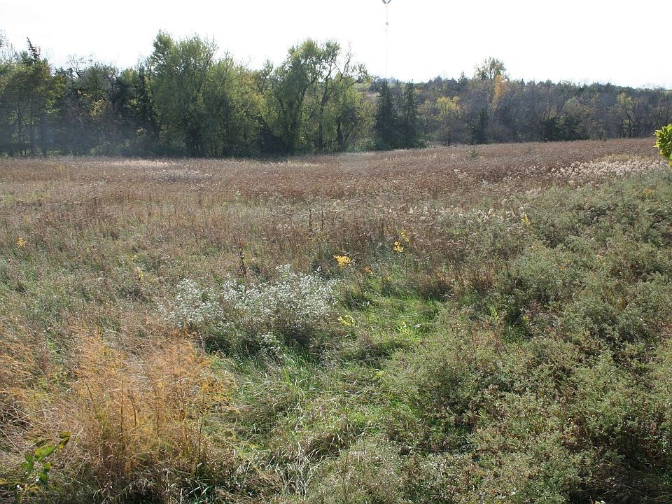 Beautiful Wooded Acreage