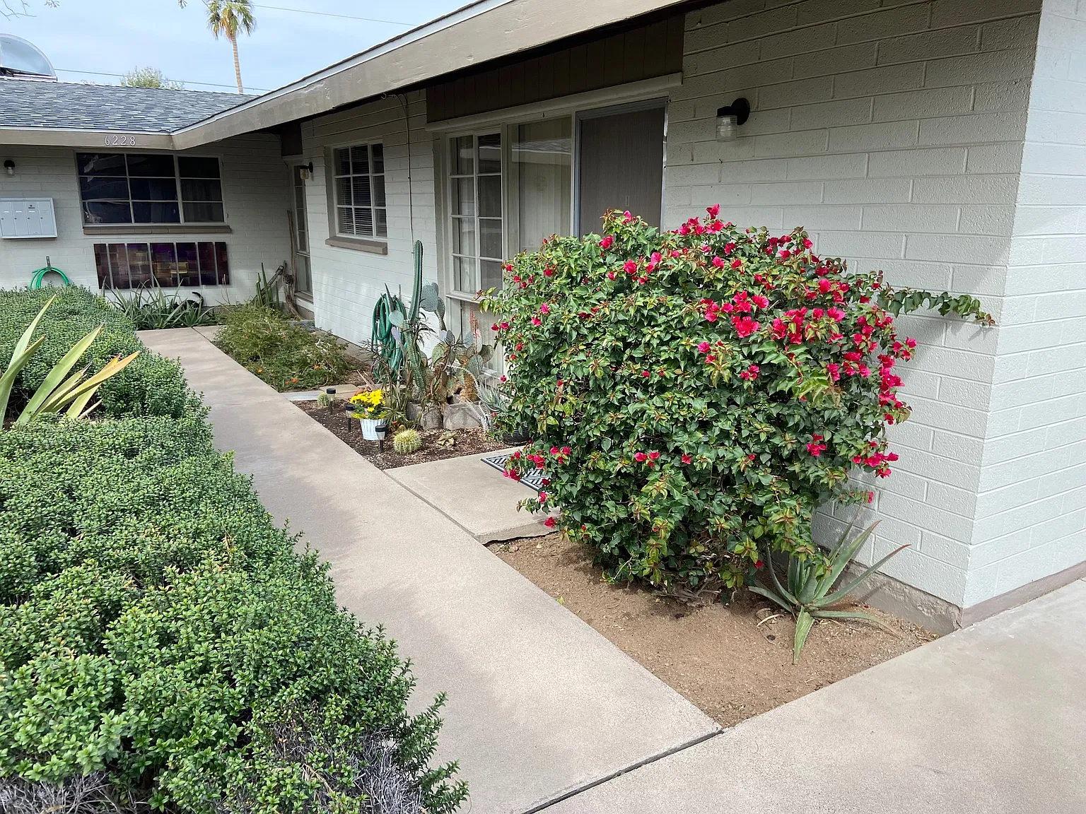 1 bed, 600 sqft, $1,085 — Photo 1