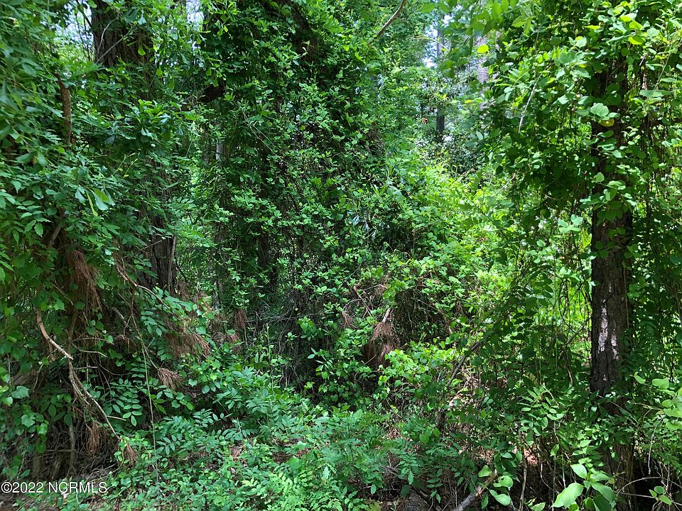 2nd image of Tbd Montoia Drive