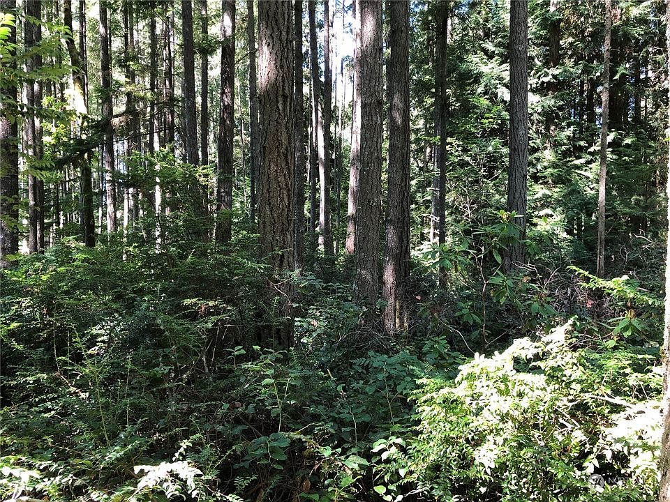 2nd image of 121 NE Evans Lane