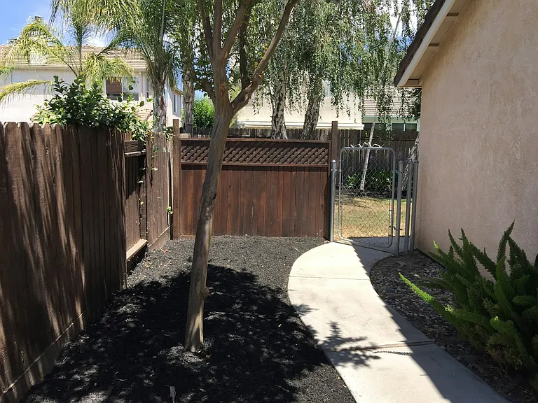 SIDE YARD